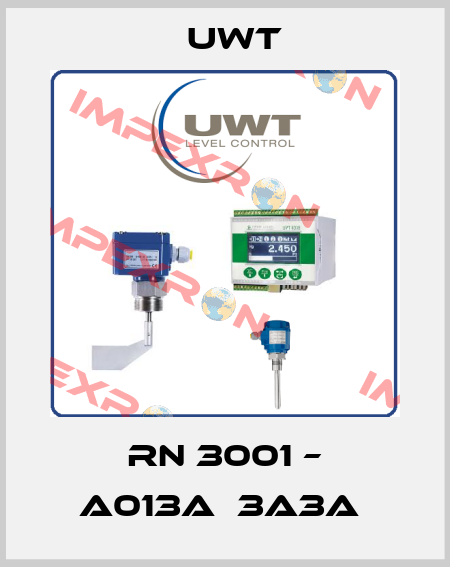 RN 3001 – A013AМ3A3A  Uwt