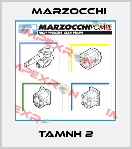 TAMNH 2 Marzocchi