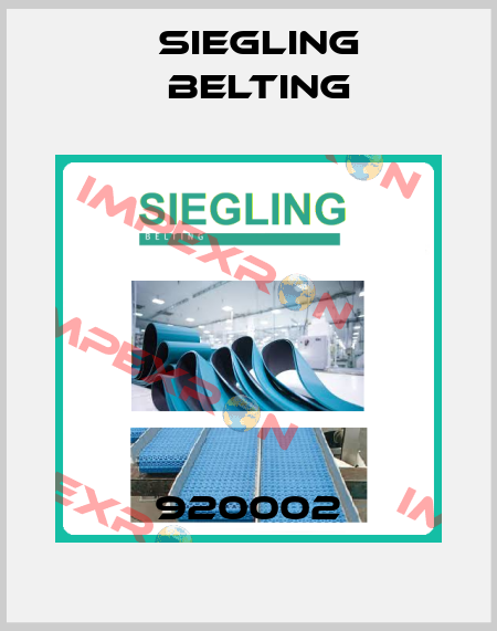 920002 Siegling Belting