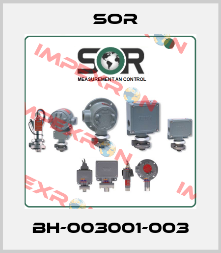 BH-003001-003 Sor