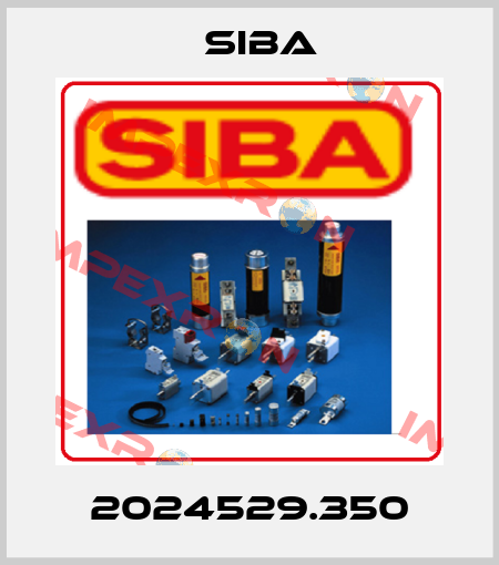 2024529.350 Siba