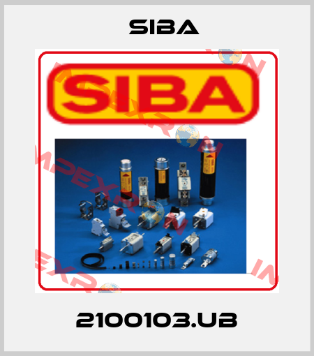 2100103.UB Siba