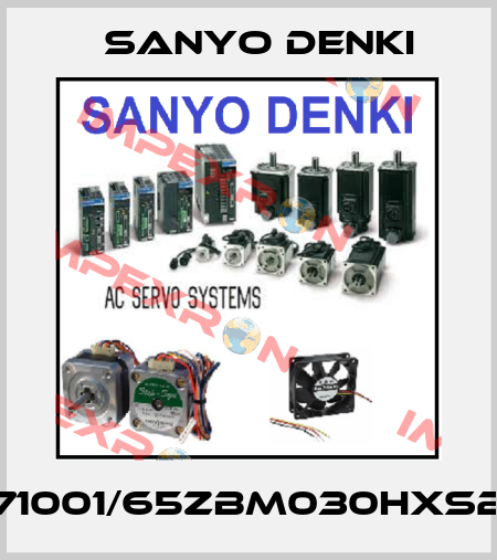 653471001/65ZBM030HXS24EUS Sanyo Denki