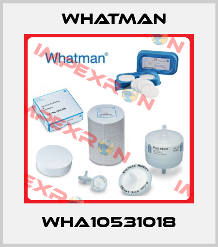 WHA10531018 Whatman