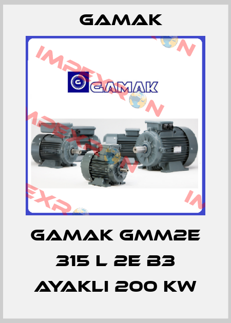 GAMAK GMM2E 315 L 2e B3 ayaklı 200 KW Gamak