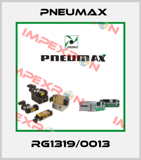 RG1319/0013 Pneumax