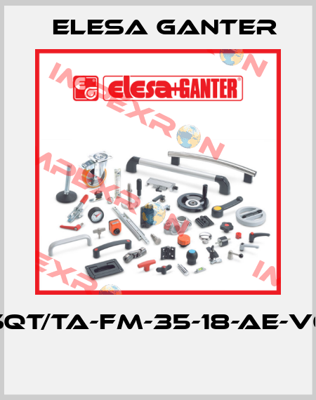 SQT/TA-FM-35-18-AE-V0  Elesa Ganter
