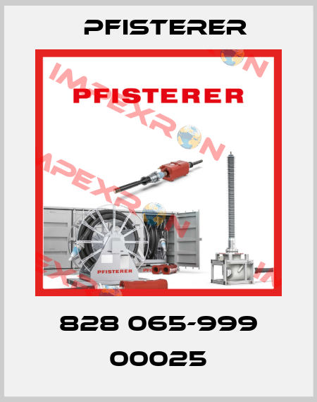 828 065-999 00025 Pfisterer