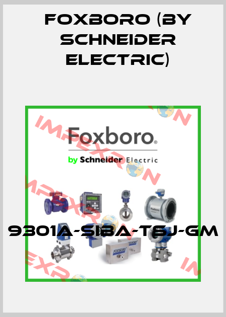 9301A-SIBA-TSJ-GM Foxboro (by Schneider Electric)