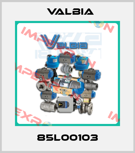 85L00103 Valbia