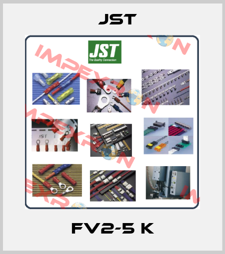 FV2-5 K JST