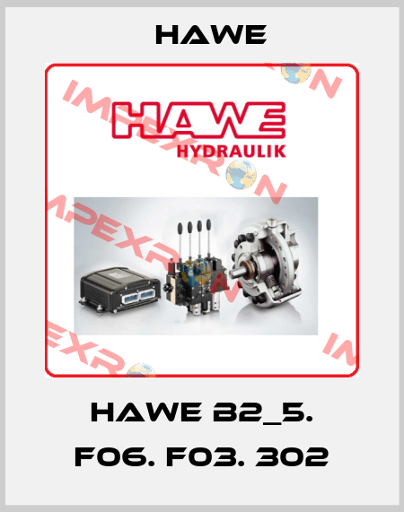 HAWE B2_5. F06. F03. 302 Hawe