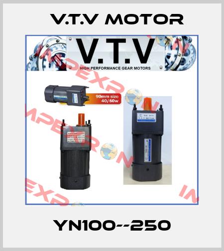 YN100--250 V.t.v Motor