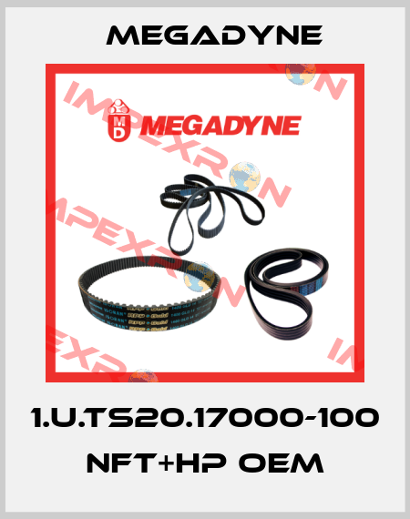 1.U.TS20.17000-100 NFT+HP OEM Megadyne