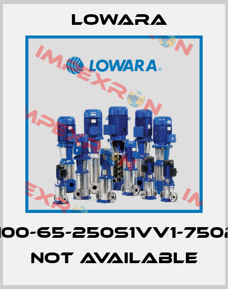 LSN100-65-250S1VV1-7502/60 not available Lowara