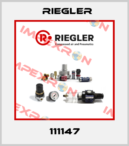 111147 Riegler