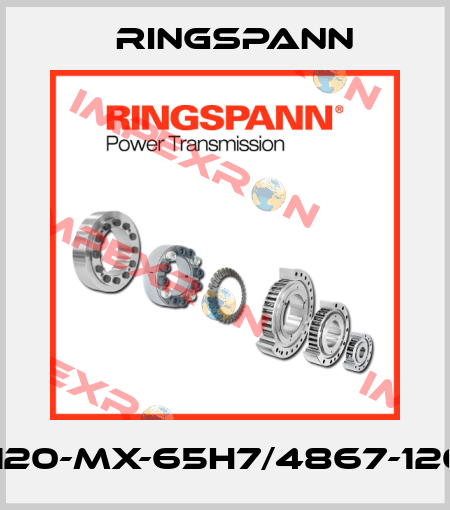 FXM120-MX-65H7/4867-120300 Ringspann