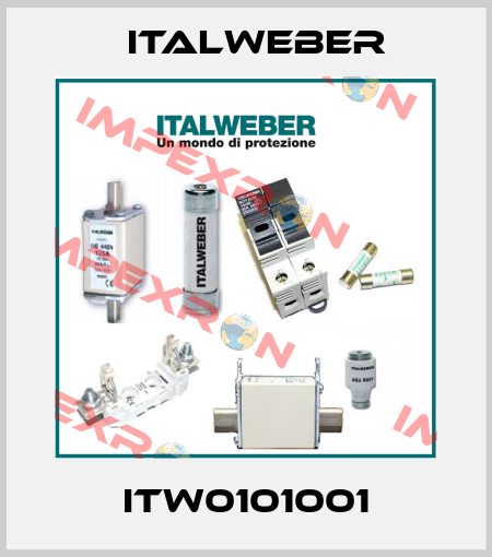 ITW0101001 Italweber