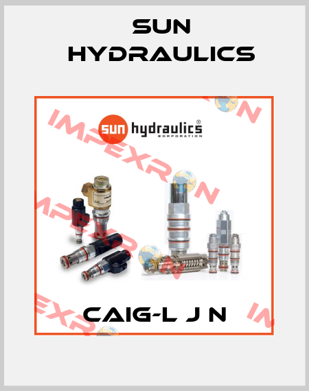 CAIG-L J N Sun Hydraulics