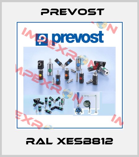 RAL XESB812 Prevost