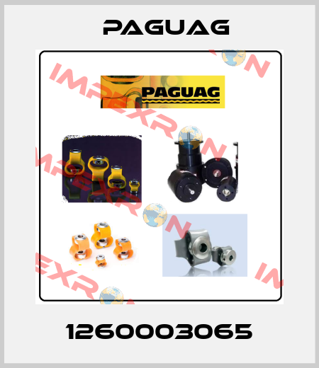 1260003065 Paguag