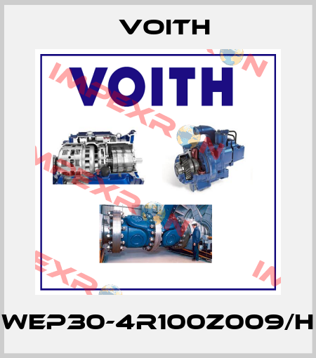 WEP30-4R100Z009/H Voith