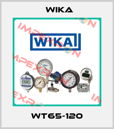 WT65-120 Wika