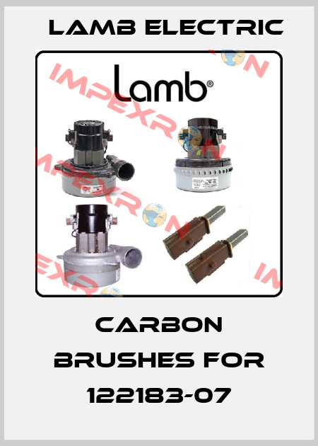 carbon brushes for 122183-07 Lamb Electric