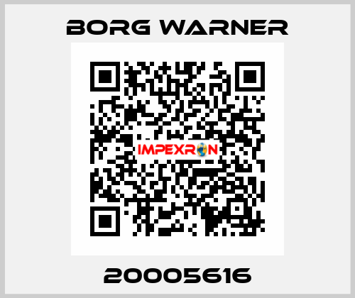 20005616 Borg Warner