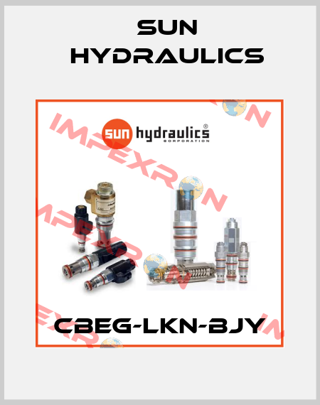 CBEG-LKN-BJY Sun Hydraulics