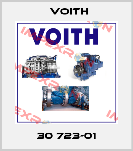 30 723-01 Voith