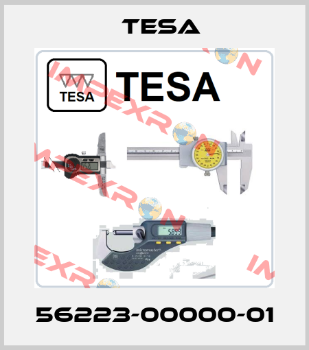 56223-00000-01 Tesa