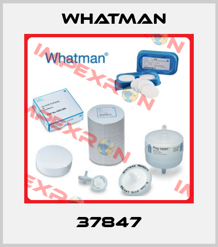 37847 Whatman