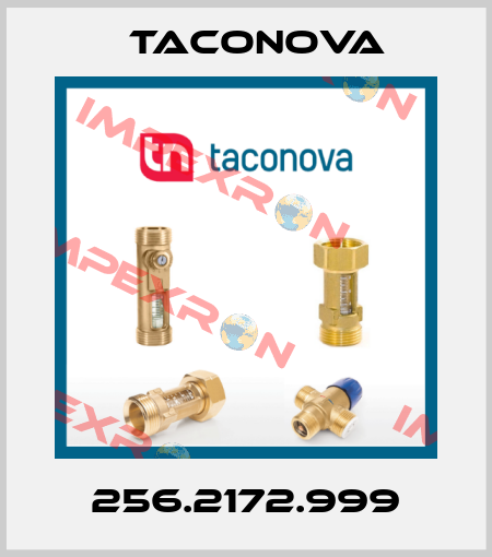 256.2172.999 Taconova