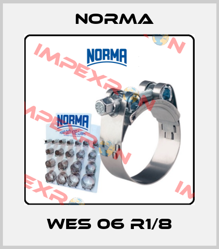 WES 06 R1/8 Norma