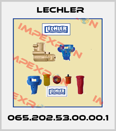 065.202.53.00.00.1 Lechler