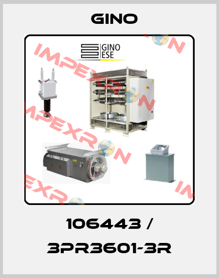 106443 / 3PR3601-3R Gino