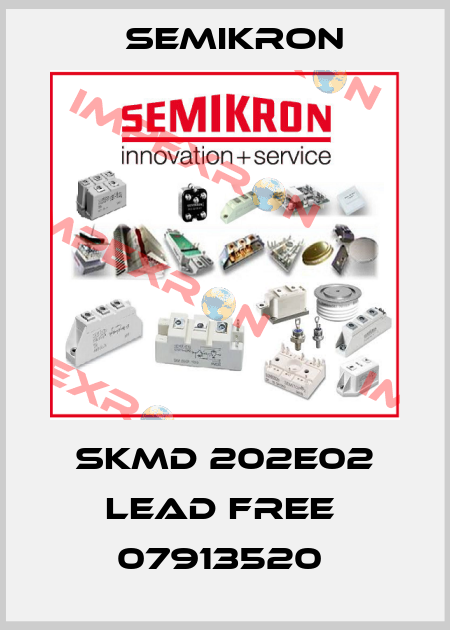 SKMD 202E02 lead free  07913520  Semikron