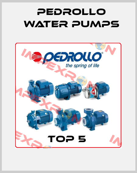 TOP 5  Pedrollo Water Pumps