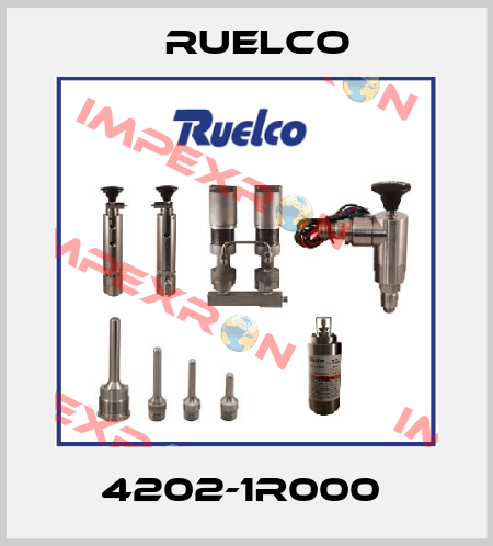 4202-1R000  Ruelco