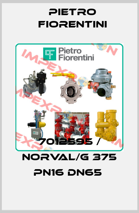 7012595 / NORVAL/G 375 PN16 DN65  Pietro Fiorentini