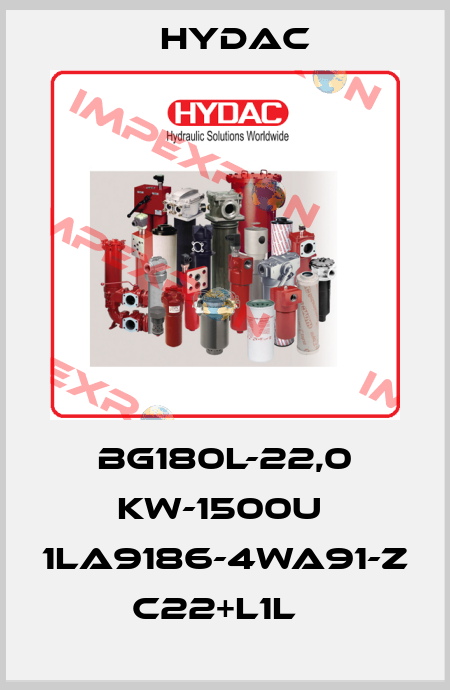  BG180L-22,0 kW-1500U  1LA9186-4WA91-Z C22+L1L   Hydac