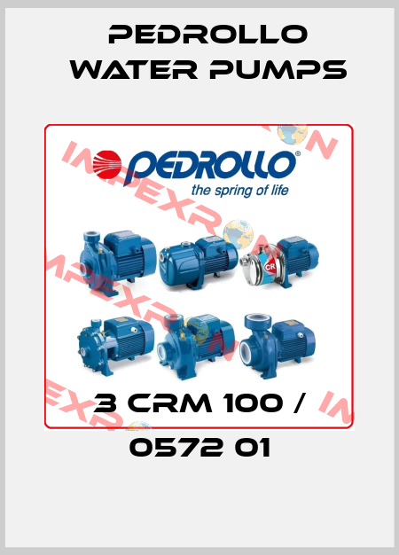 3 CRm 100 / 0572 01 Pedrollo Water Pumps