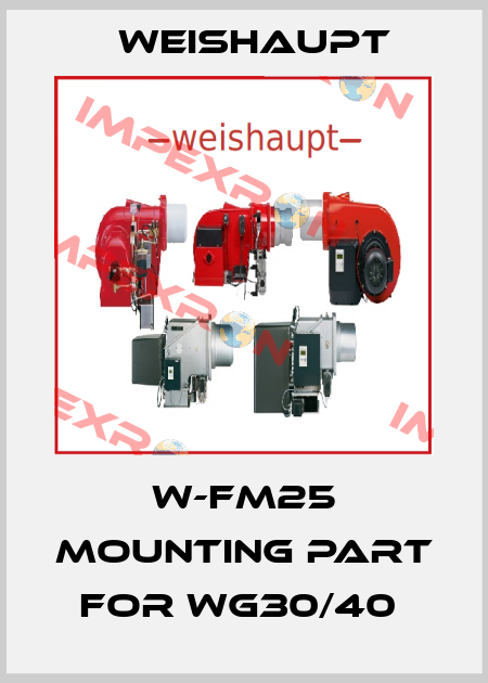 W-FM25 Mounting Part for WG30/40  Weishaupt