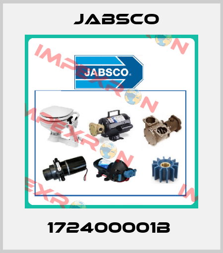 172400001B  Jabsco