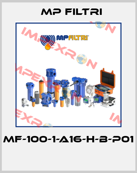 MF-100-1-A16-H-B-P01  MP Filtri