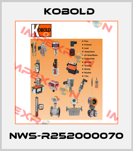 NWS-R252000070 Kobold