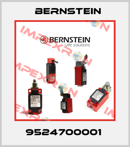 9524700001  Bernstein