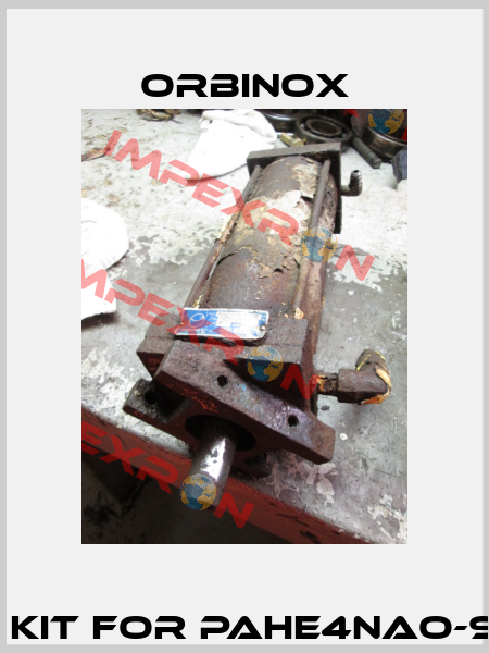 Seal kit for PAHE4NAO-9.625  Orbinox