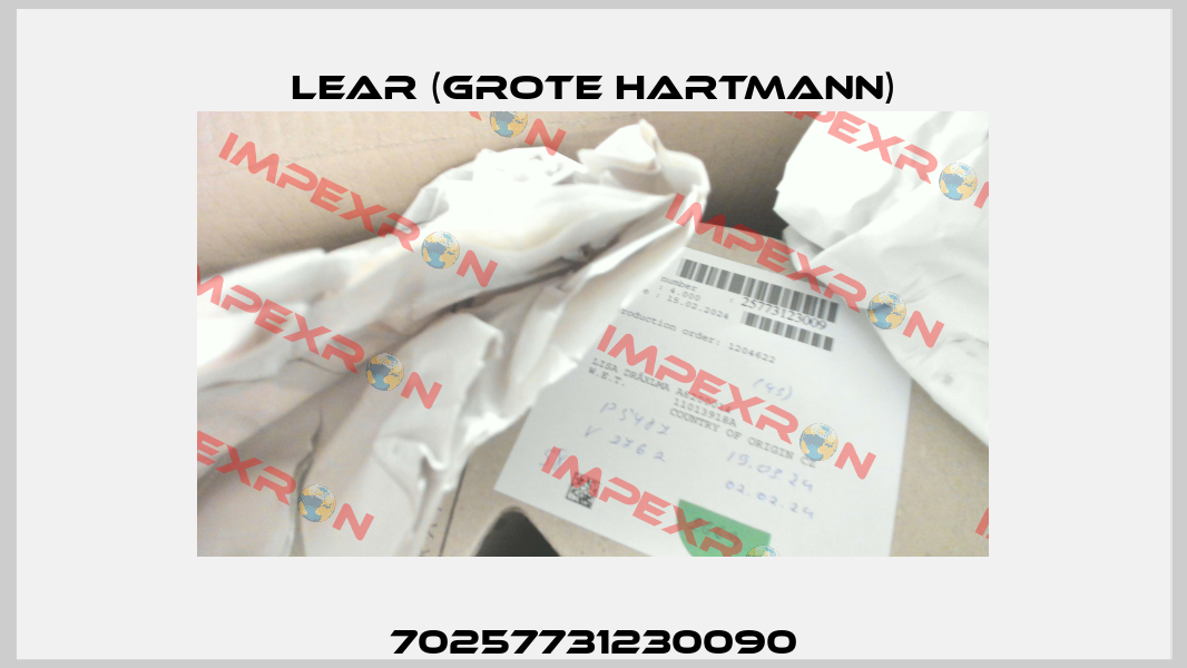 70257731230090 Lear (Grote Hartmann)